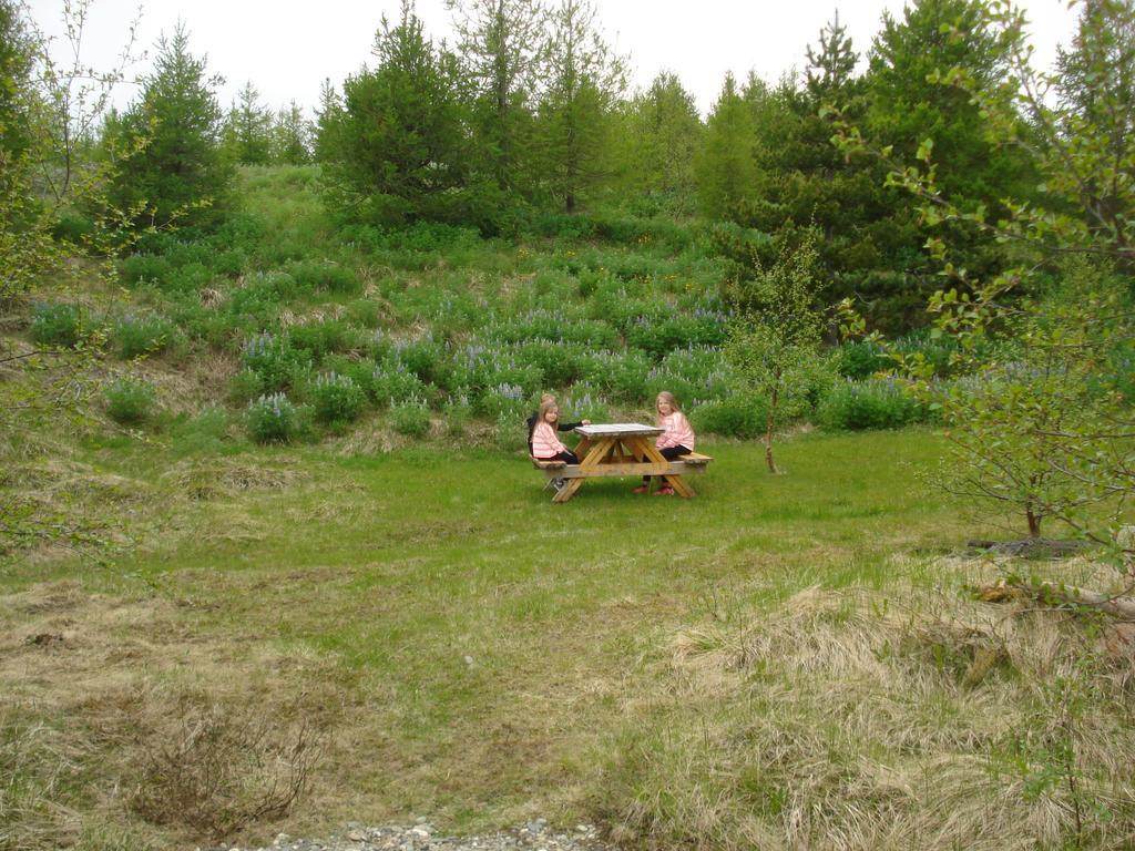 Vinland Camping Pods Egilsstaðir Værelse billede